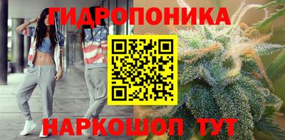 спиды Канаш