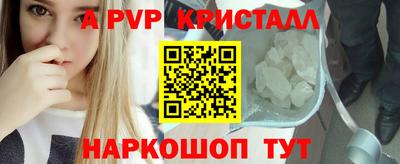 спиды Канаш