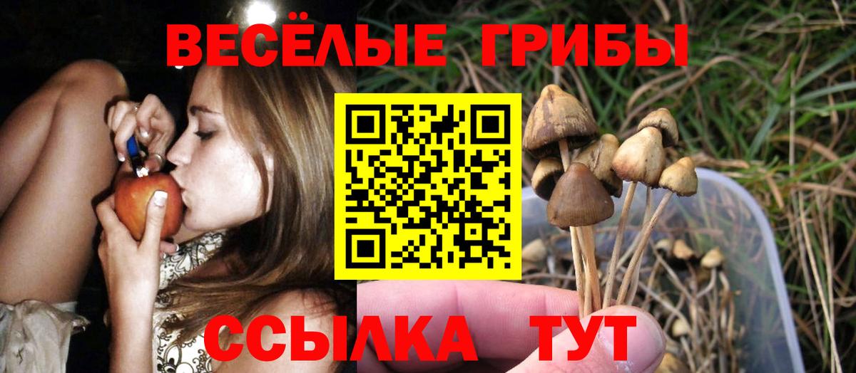 наркошоп  Галлюциногенные грибы ЛСД  Вход с VPN  Калач-на-Дону 